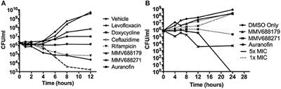 Evaluating New Compounds to Treat Burkholderia pseudomallei Infections